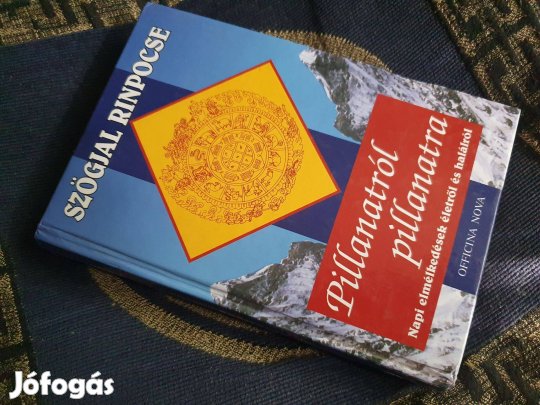 Szögjal Rinpocse: Pillanatról pillanatra -elmélkedések életről, halál