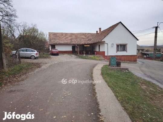 Szőkédi eladó 160 nm-es ház