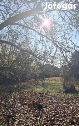 Szolnok Alcsisziget eladó telek