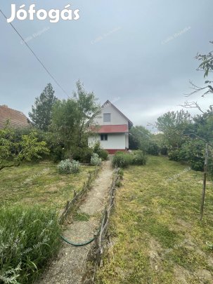 Szolnok-Alcsisziget lakható zártkerti ingatlan-közös stég használattal