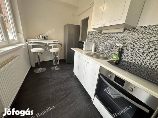 Szolnok Kossuth tér 53 m2-es, igényesen felújított, bútorozott lakás