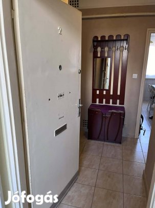Szolnok Tallin varosrészen a Puskás T. két elején 2 szobas lakás