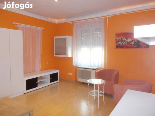 Szolnok belvárosában 1 szobás lakás kiadó