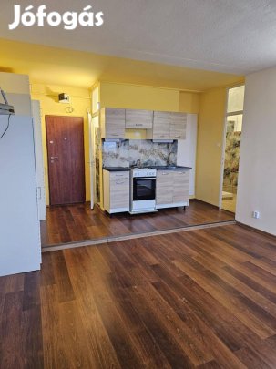 Szolnok belvárosában 8 emeleti kis lakás eladó