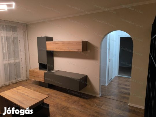 Szolnoki 2 szobás 49 m2-es lakás kiadó!