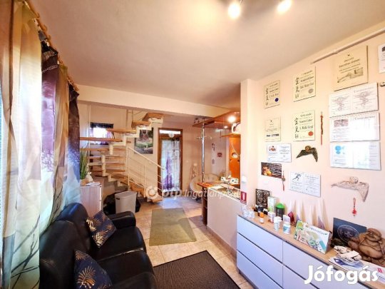 Szolnoki eladó 200 nm-es ház