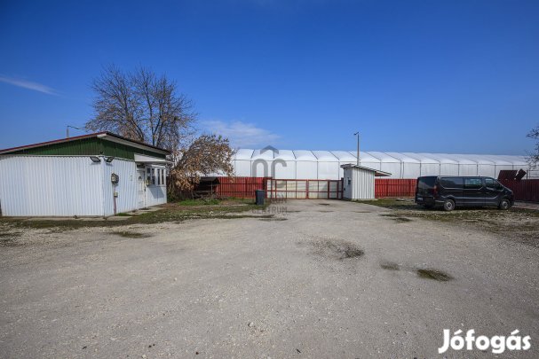 Szolnoki eladó üzleti célú ingatlan