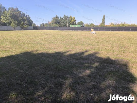 Szolnoki telephely kiadó!