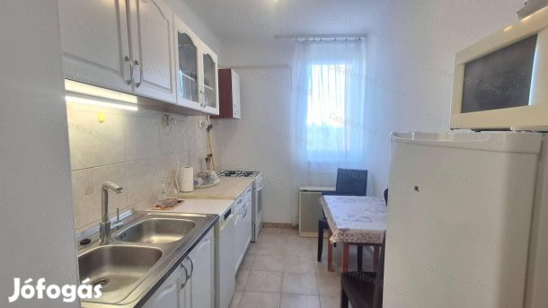 Szolnokon a Tallin városrészben kétszobás  bútorozott lakás kiadó