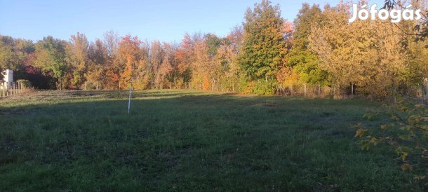 Szolnokon az Ágnes utcában telek eladó