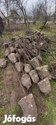 Szőlő kordon, kerítés oszlop