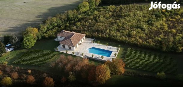 Szőlőbirtok balatoni panorámával