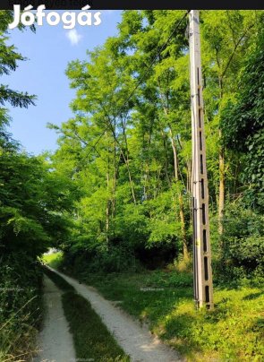 Szőlőhegy zártkert