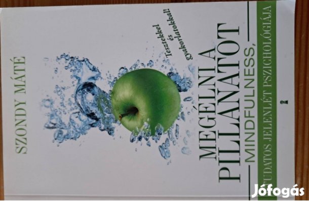 Szondy Máté Megélni A Pillanatot