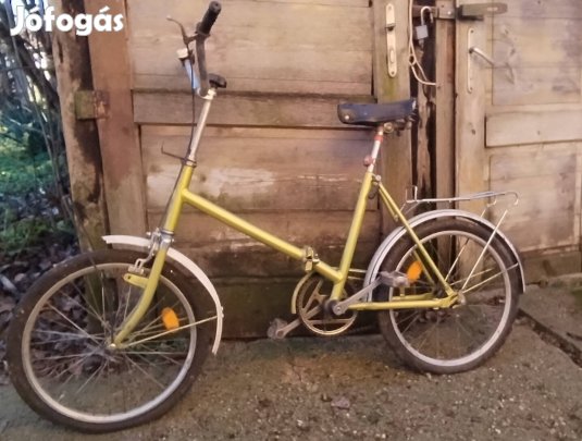 Szuper jó kis bicó új gazdáját keresi 