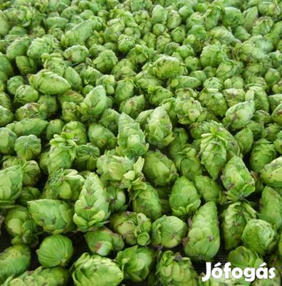 TARGET aroma és keserŰkomló pellet 30g  (456)