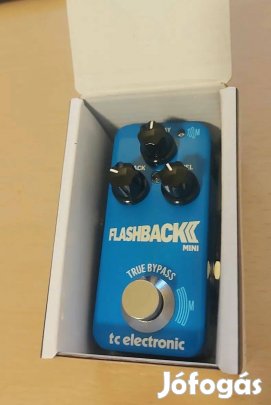 TC electronic Flashback Mini 2