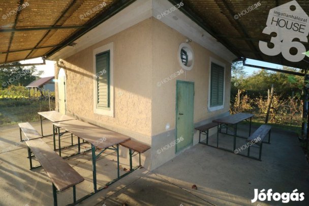 TÉGLA ÉPÜLET, PRÉSHÁZ, PINCE, 4996 m2-es TERÜLETTEL ELADÓ!