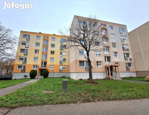 TÓPARTI, 2 SZOBÁS, FÖLDSZINTI LAKÁS SZABADHEGYEN!