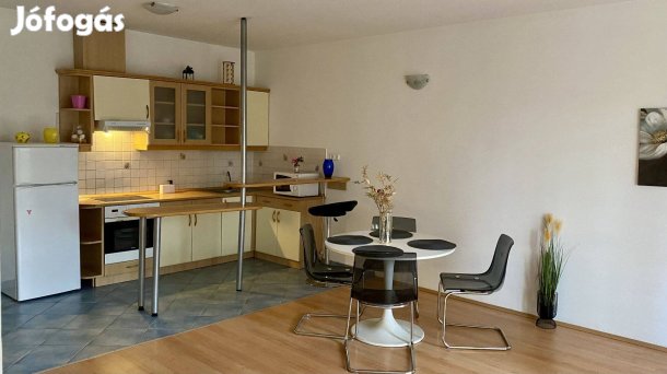 Tágas 61nm-es lakás a Vizslaparknál