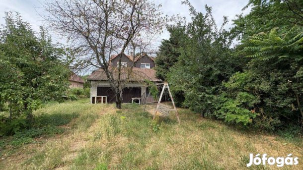 Tágas családi ház Gesztelyben  kétgenerációs otthonra,