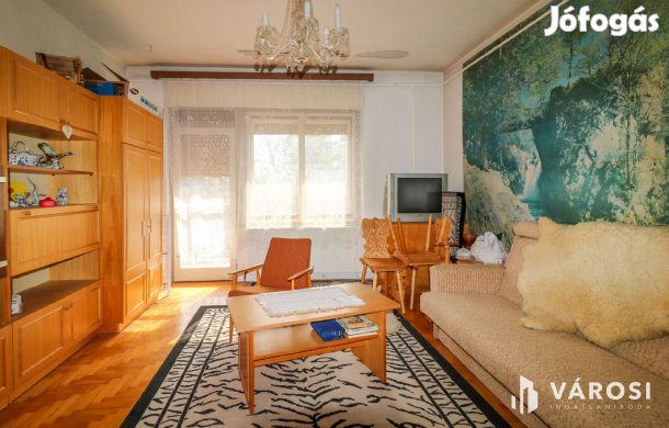 Tágas családi ház nagy telekkel