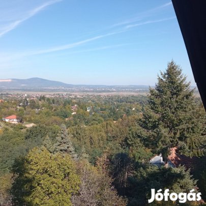 Tahitótfalu, Ódry Árpád utcában családi ház eladó