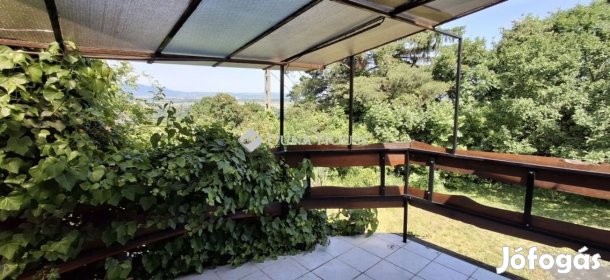 Tahitótfalui 44 nm-es ház eladó