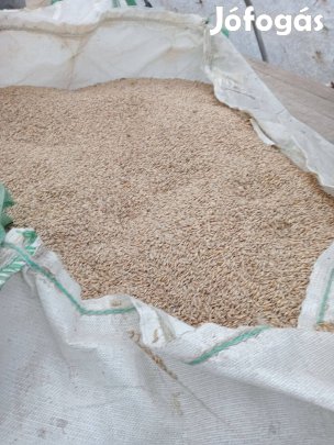 Takarmány árpa eladó