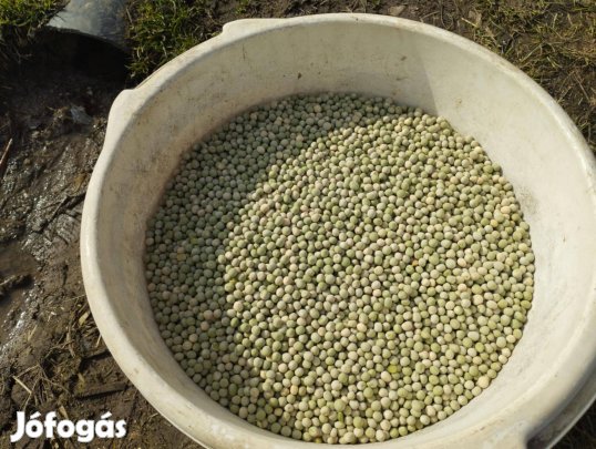 Takarmány borso elado