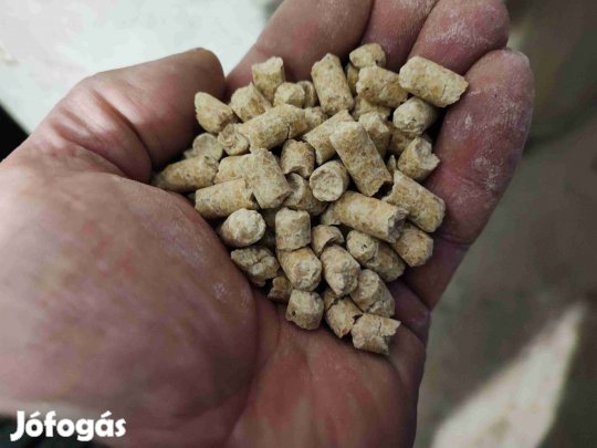 Takarmány szója eladó!