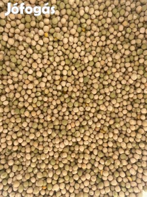 Takarmányborsó (tisztított, kiváló minőség)