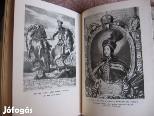 Takáts Sándor: Bajvívó magyarok, könyv