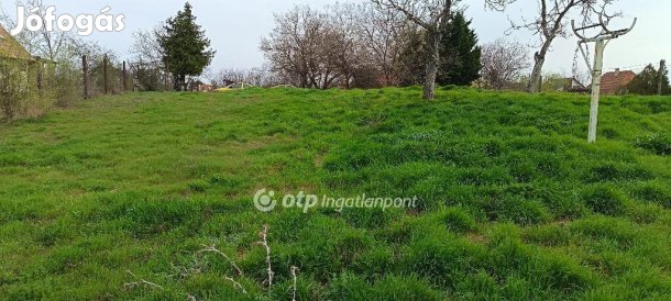 Taksonyi 2555 nm-es telek eladó
