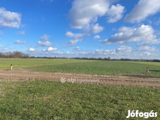 Taksonyi eladó 4582 nm-es telek