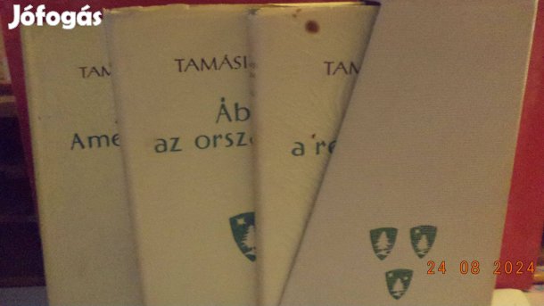 Tamási Áron: Ábel