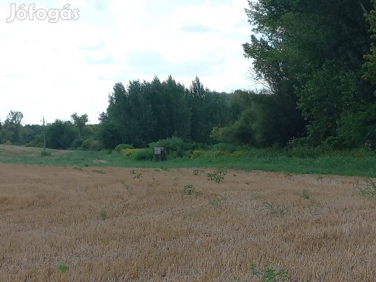 Tamási termőföld eladó