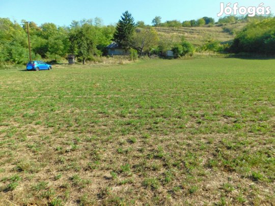 Tamásiban 12595 m2 területtel lakóház eladó