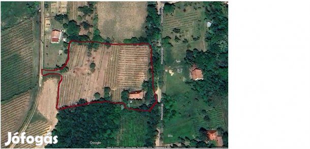 Tanya Telek Ház Szőlő Zártkert Ingatlan