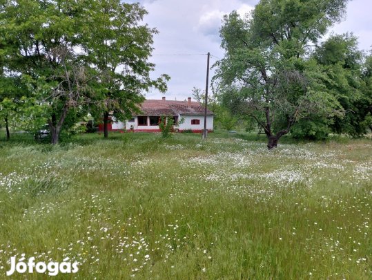 Tanya erdővel, búbos kemencével