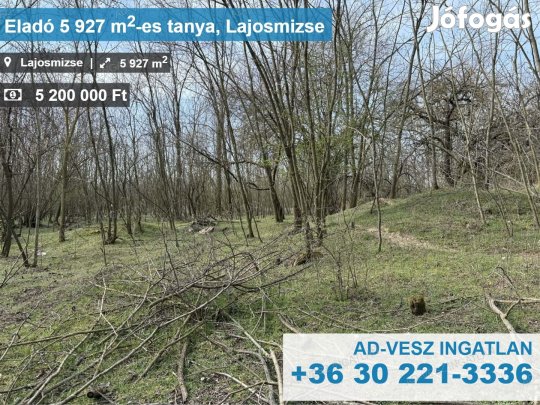 Tanya+legelő eladó Lajosmizsén