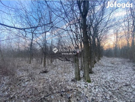 Tápióbicskei 1683 nm-es telek eladó