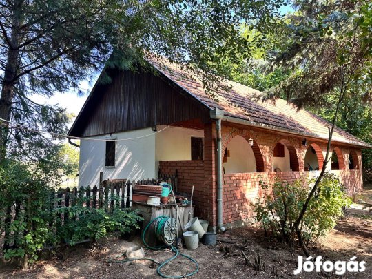 Tápiószecsőn eladó hangulatos, karbantartott tanya