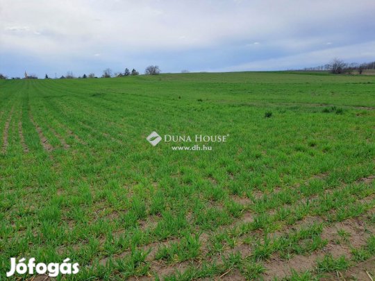 Tápiószentmártoni eladó 1782 nm-es telek