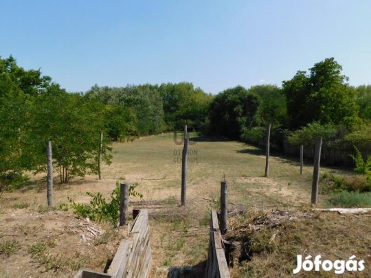 Tápiószentmártoni eladó 4679 nm-es telek