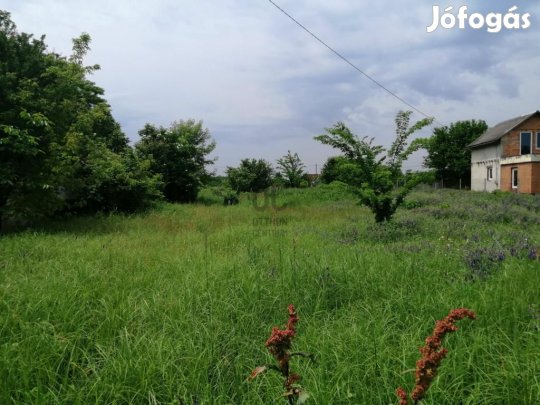 Tápiószőlősi eladó 1032 nm-es telek