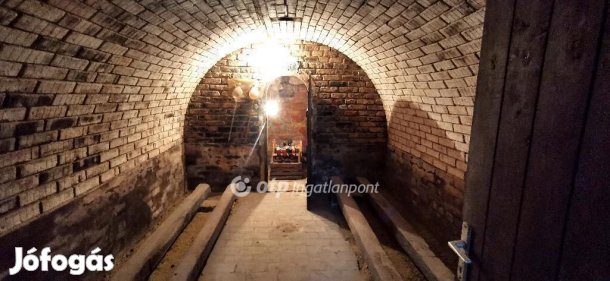 Tápszentmiklósi eladó 1304 nm-es telek