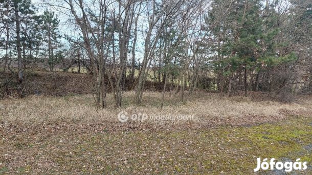 Tarjánpusztai 95989 nm-es telek eladó
