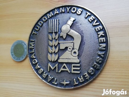 Társadalmi és Tudományos Tevékenységért Régi kitüntető érem