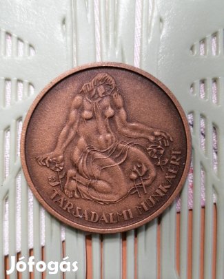 Társadalmi munkáért plaket